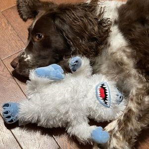 Meet your Posher, Jamie